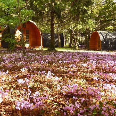 La Rossignolerie - Pod Cabanes Des Chateaux Chouzy-sur-Cisse Eksteriør bilde