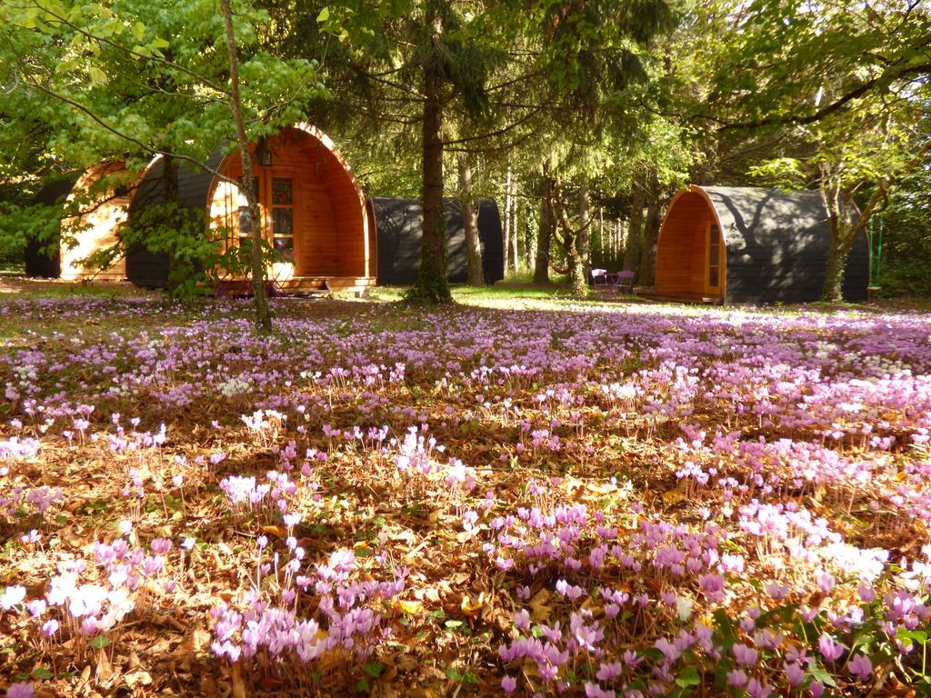 La Rossignolerie - Pod Cabanes Des Chateaux Chouzy-sur-Cisse Eksteriør bilde